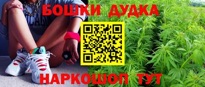 дживик Новодвинск