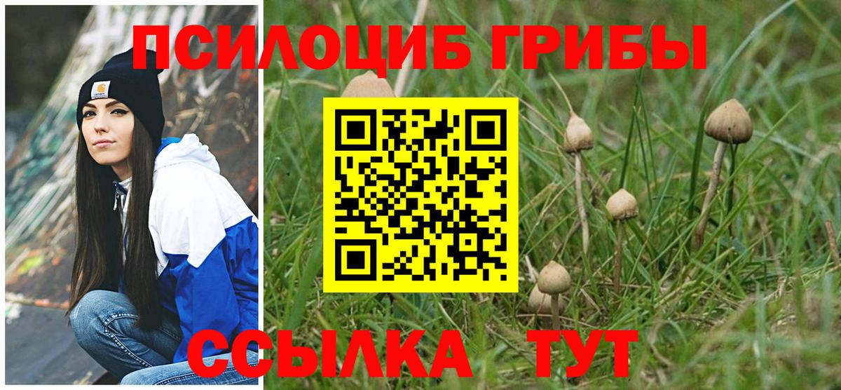 Псилоцибиновые грибы Magic Shrooms  Вход с VPN  Усть-Джегута 