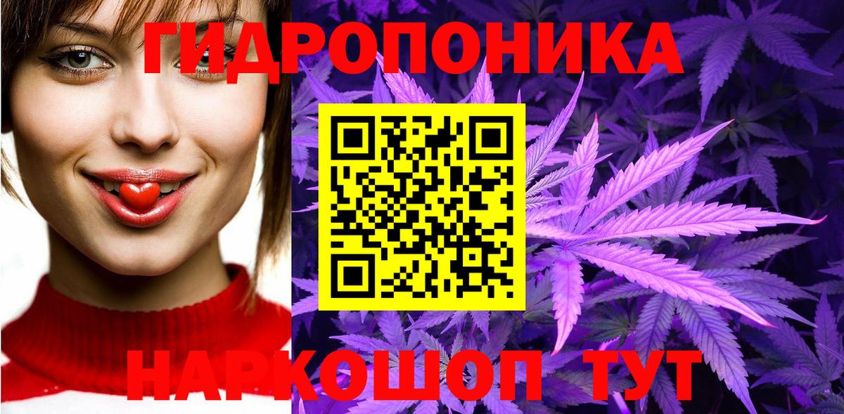 Канабис семена Усть-Джегута
